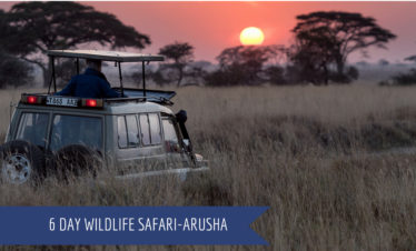 6 Day Wildlife Safari – Arusha